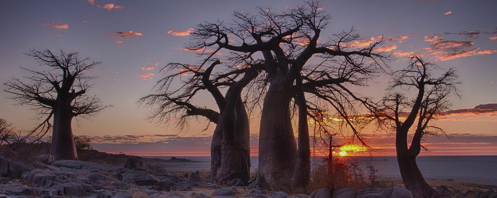 visitare il botswana